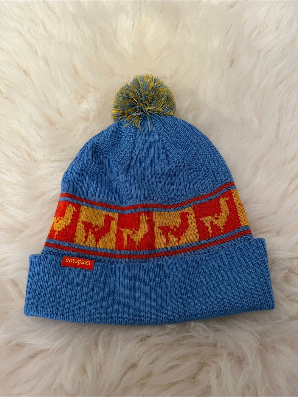 NWOT Cotopaxi Quito Pom Beanie